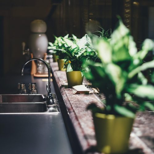 kitchen, tap, sink, faucet, furniture, home, indoors, interior design, interior decoration, tap water, kitchen sink, potted plants, kitchen, kitchen, kitchen, kitchen, kitchen, interior design